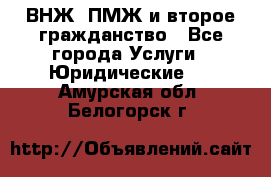 ВНЖ, ПМЖ и второе гражданство - Все города Услуги » Юридические   . Амурская обл.,Белогорск г.